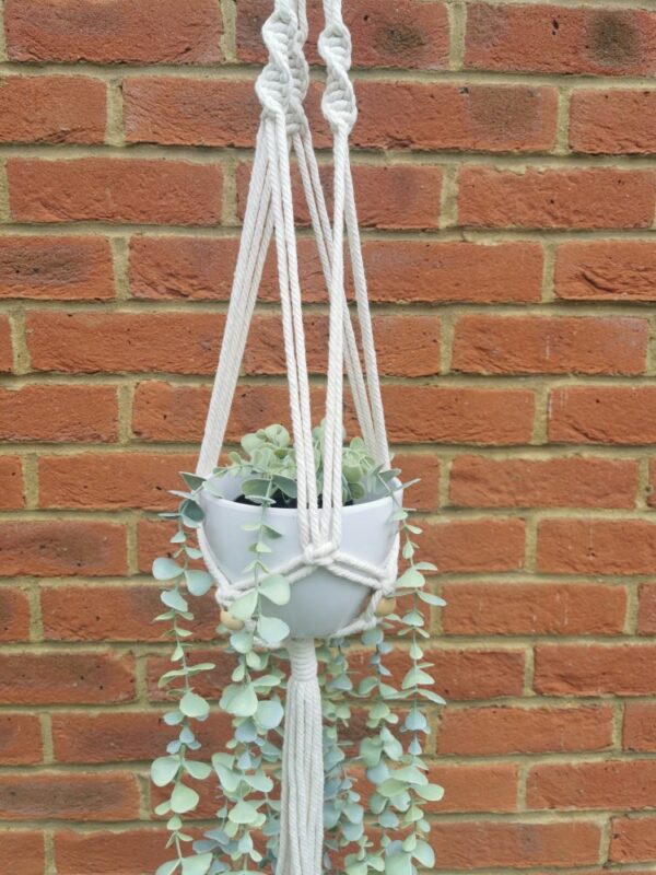 Long beaded macrame plant hanger